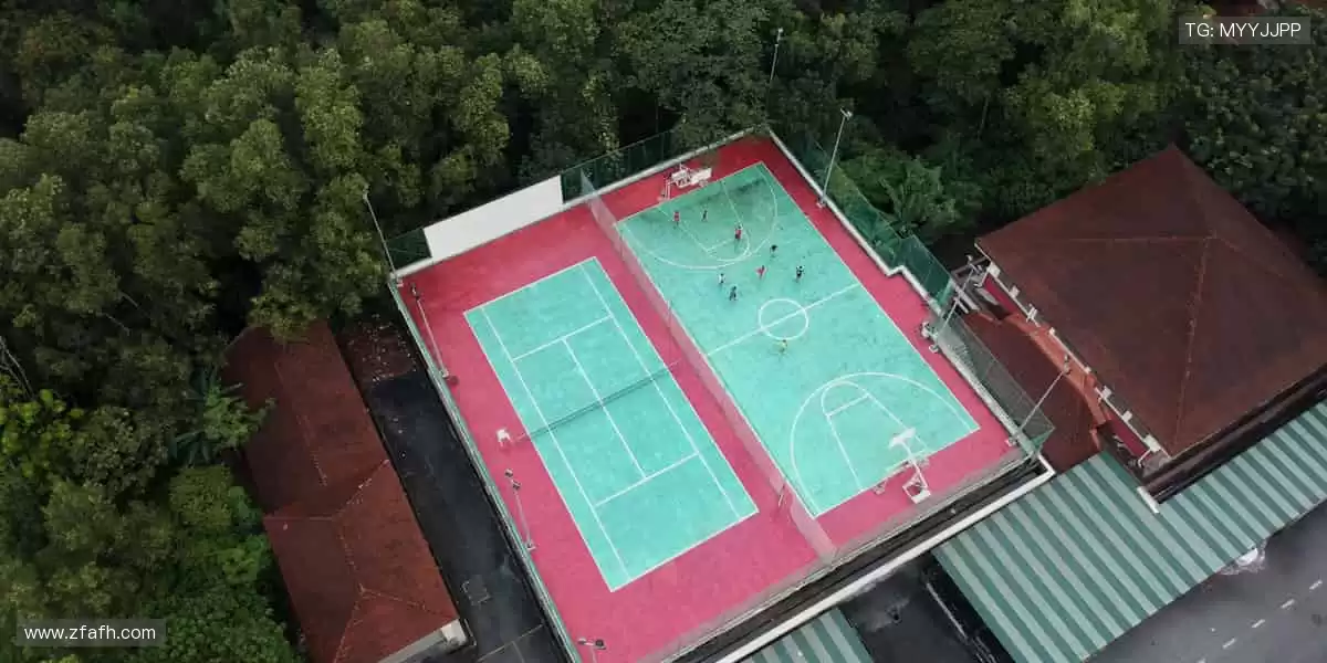 ✨ 下一个冠军,从点击开始!