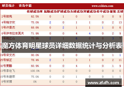 魔方体育明星球员详细数据统计与分析表